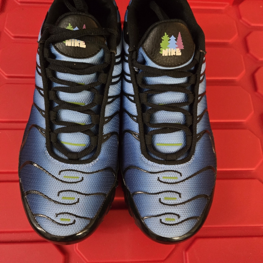 NWOT Nike Air Max Plus "Stargazing"